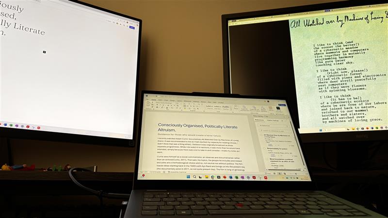 Consciously Organised, Politically Literate&nbsp;Altruism.